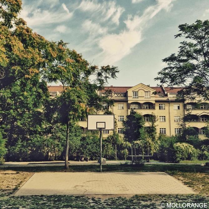 #Berlin #ig_berlin #igersberlin #igers_berlin #ig_berlincity #urban #urbanromantix #urbanexploring #urbanlandscape #visit_berlin #berlineransichten #berlinstagram #outofthephone #mobilemag #nothingisordinary #streetphotography #photooftheday #diewocheaufinstagram #huntgram #huntgramgermany #basketball #minimalmood #instaberlin #ig_europe #summer #playground #pankow #berlincity #igersgermany  #justgoshoot