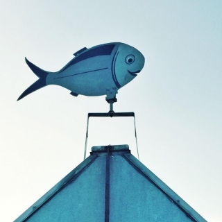 #räucherfisch #Ostsee #balticsea #meer #sea #fish #fishing #fisch #see #ocean #ig_europe #igersgermany #nothingisordinary #huntgram #huntgramgermany #diewocheaufinstagram  #outofthephone #mobilemag #coast #coastal #seafood #sky #blue