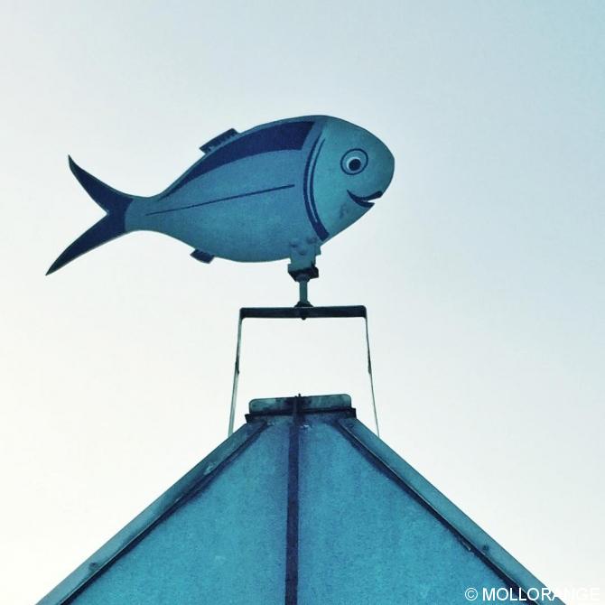 #räucherfisch #Ostsee #balticsea #meer #sea #fish #fishing #fisch #see #ocean #ig_europe #igersgermany #nothingisordinary #huntgram #huntgramgermany #diewocheaufinstagram  #outofthephone #mobilemag #coast #coastal #seafood #sky #blue