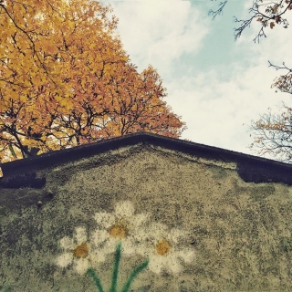 #Berlin #ig_berlin #igers_berlin #ig_berlincity #instaberlin #berlinstagram #diewocheaufinstagram #huntgramgermany #outofthephone #autumn #wall #streetart #sky #nothingisordinary #urbanandstreet #urbanromantix #urban #mobilemag #autumnisokay