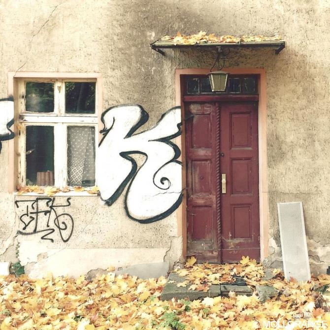 #Berlin #ig_berlin #ig_berlincity #instaberlin #berlinstagram #nothingisordinary #huntgramgermany #urbanphotography #urbanandstreet #urbanromantix #urban #street #outofthephone #artofvisuals #mobilemag #autumnisokay #ig_germany #doorsandwindows #pankow