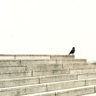 #Berlin #minimalbirds #lines #stairs #minimal #mindtheminimal #urbanromantix #bird #minimalism #theminimalmag #ig_berlincity #ig_germany #huntgramgermany #diewocheaufinstagram #urbanandstreet #urban #urbanphotography #outofthephone #rsa_minimal #instaberlin #berlinstagram #visit_berlin