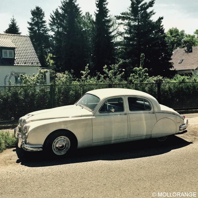 #asundaycarpic #jaguar